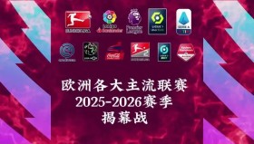 巴西球星X某：世界杯辉煌与意甲替补挣扎之路